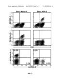 MHC MOLECULE-BINDING TUMOR-ASSOCIATED PEPTIDES diagram and image