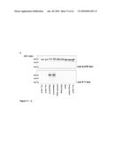 POLYPEPTIDE CONSTRUCTS FOR INTRACELLULAR DELIVERY diagram and image