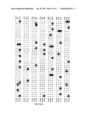 METHOD OF DETECTING A CANCER CELL BY ABERRANT EXPRESSION OF A HUMAN K+ ION CHANNEL diagram and image