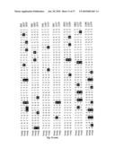 METHOD OF DETECTING A CANCER CELL BY ABERRANT EXPRESSION OF A HUMAN K+ ION CHANNEL diagram and image