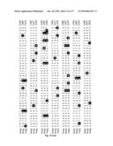 METHOD OF DETECTING A CANCER CELL BY ABERRANT EXPRESSION OF A HUMAN K+ ION CHANNEL diagram and image