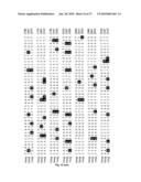 METHOD OF DETECTING A CANCER CELL BY ABERRANT EXPRESSION OF A HUMAN K+ ION CHANNEL diagram and image