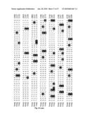 METHOD OF DETECTING A CANCER CELL BY ABERRANT EXPRESSION OF A HUMAN K+ ION CHANNEL diagram and image