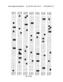 METHOD OF DETECTING A CANCER CELL BY ABERRANT EXPRESSION OF A HUMAN K+ ION CHANNEL diagram and image