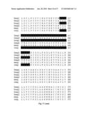 METHOD OF DETECTING A CANCER CELL BY ABERRANT EXPRESSION OF A HUMAN K+ ION CHANNEL diagram and image