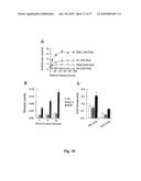 METHOD OF DETECTING A CANCER CELL BY ABERRANT EXPRESSION OF A HUMAN K+ ION CHANNEL diagram and image