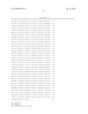 METHOD OF DETECTING A CANCER CELL BY ABERRANT EXPRESSION OF A HUMAN K+ ION CHANNEL diagram and image