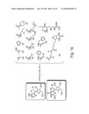 Nucleic acid molecules, polypeptides, antibodies and compositions for treating and detecting influenza virus infection diagram and image