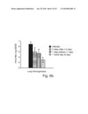 Nucleic acid molecules, polypeptides, antibodies and compositions for treating and detecting influenza virus infection diagram and image