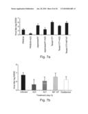 Nucleic acid molecules, polypeptides, antibodies and compositions for treating and detecting influenza virus infection diagram and image