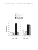 Nucleic acid molecules, polypeptides, antibodies and compositions for treating and detecting influenza virus infection diagram and image