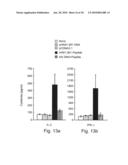 Nucleic acid molecules, polypeptides, antibodies and compositions for treating and detecting influenza virus infection diagram and image