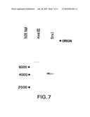 MORAXELLA CATARRHALIS OUTER MEMBRANE PROTEIN-106 POLYPEPTIDE, GENE SEQUENCE AND USES THEREOF diagram and image