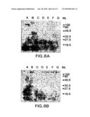 MORAXELLA CATARRHALIS OUTER MEMBRANE PROTEIN-106 POLYPEPTIDE, GENE SEQUENCE AND USES THEREOF diagram and image