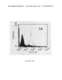 CELL-BASED SYSTEMS FOR PRODUCING INFLUENZA VACCINES diagram and image