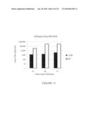 CELL-BASED SYSTEMS FOR PRODUCING INFLUENZA VACCINES diagram and image