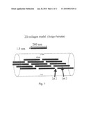 BIOMATERIAL IMPLANTS diagram and image