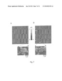 BIOMATERIAL IMPLANTS diagram and image