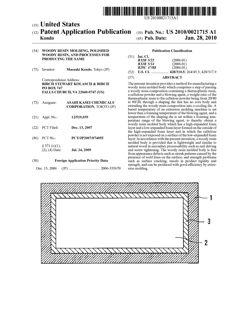 WOODY RESIN MOLDING, POLISHED WOODY RESIN, AND PROCESSES FOR PRODUCING THE SAME - diagram, schematic, and image 01