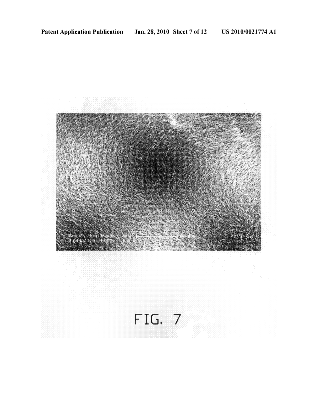 Membrane electrode assembly and biofuel cell using the same - diagram, schematic, and image 08