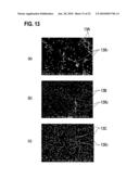 TRANSITION METAL NITRIDE, SEPARATOR FOR FUEL CELLS, FUEL CELL STACK, FUEL CELL VEHICLE, METHOD OF MANUFACTURING TRANSITION METAL NITRIDE, AND METHOD OF MANUFACTURING SEPARATOR FOR FUEL CELLS diagram and image