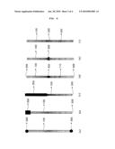 ELECTROCHEMICAL DEVICE ENSURING A GOOD SAFETY diagram and image