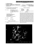 POLYMER PARTICLES WITH ADDITIVES ENCAPSULATED IN MICROVOIDS diagram and image