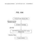 Methods and Materials for Identifying the Origin of a Carcinoma of Unknown Primary Origin diagram and image