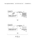 METHOD OF DETECTING A PLURALITY OF NUCLEIC ACIDS diagram and image