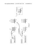 METHOD OF DETECTING A PLURALITY OF NUCLEIC ACIDS diagram and image