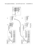 METHOD OF DETECTING A PLURALITY OF NUCLEIC ACIDS diagram and image