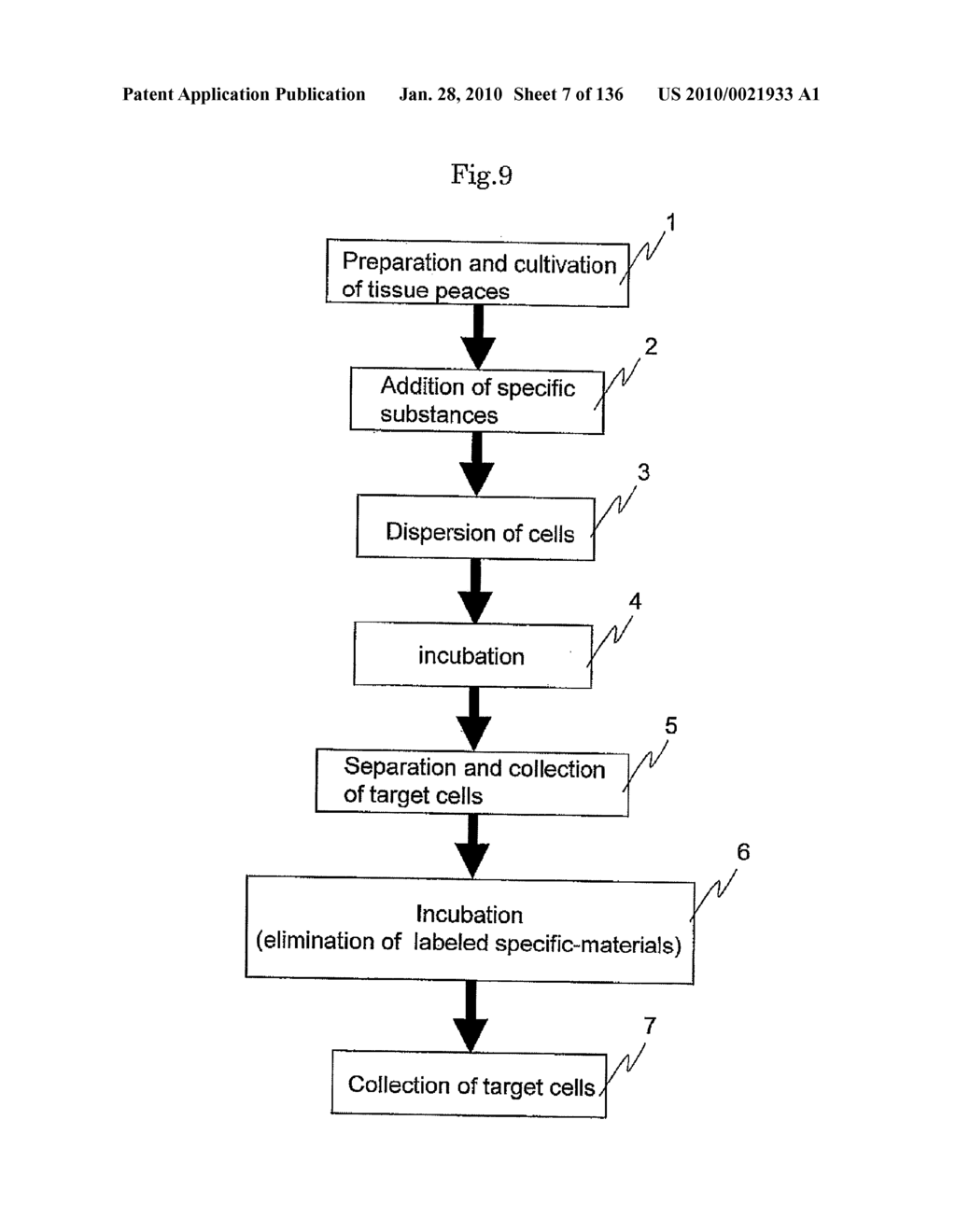 CELLOMICS SYSTEMS - diagram, schematic, and image 08