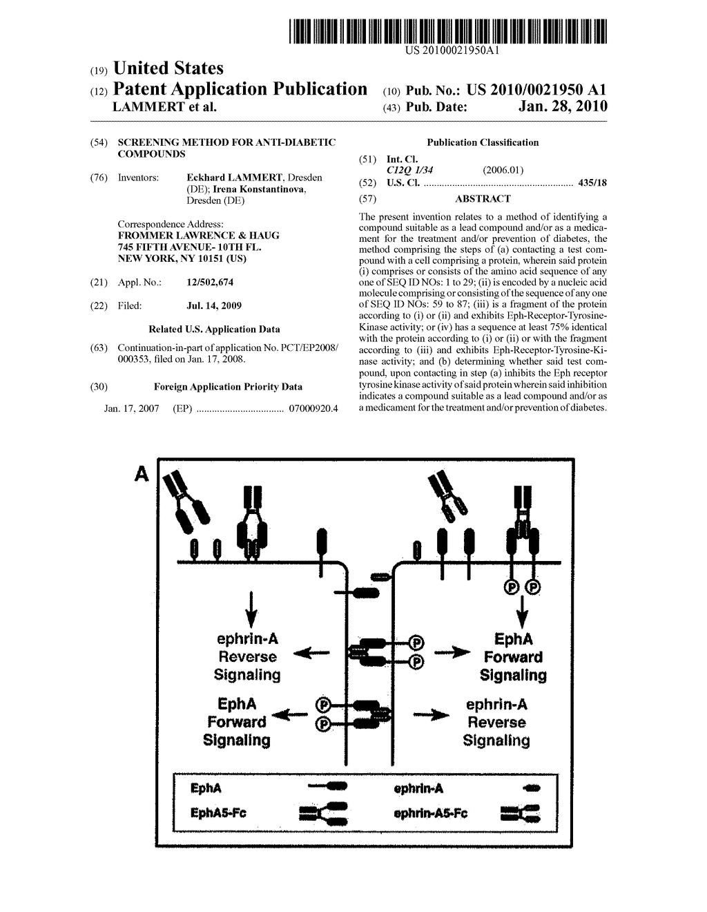 SCREENING METHOD FOR ANTI-DIABETIC COMPOUNDS - diagram, schematic, and image 01