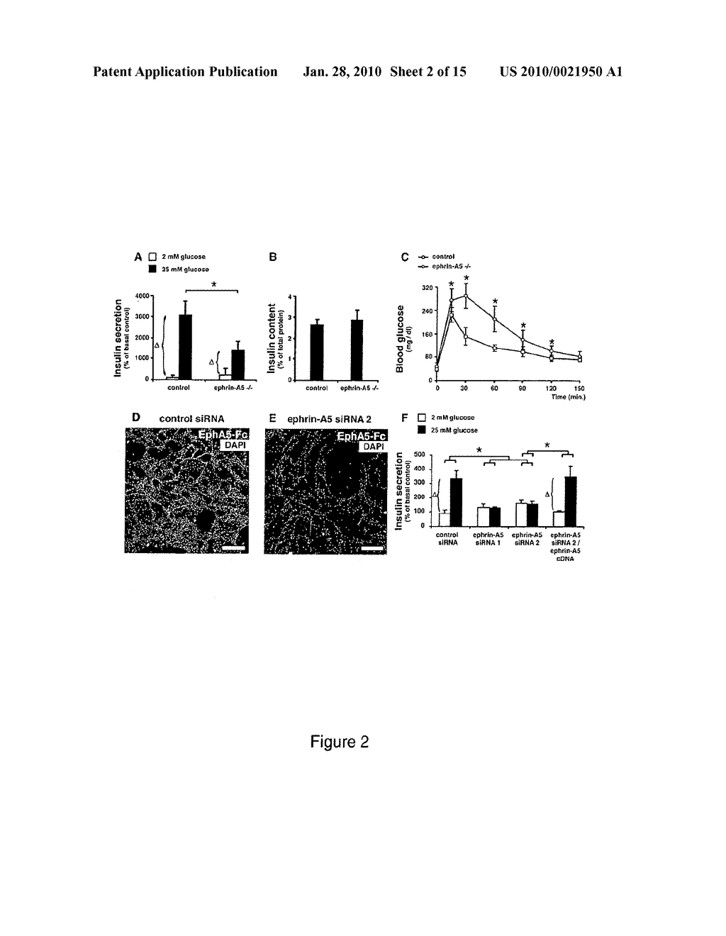 SCREENING METHOD FOR ANTI-DIABETIC COMPOUNDS - diagram, schematic, and image 03