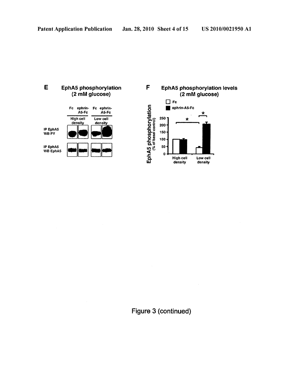 SCREENING METHOD FOR ANTI-DIABETIC COMPOUNDS - diagram, schematic, and image 05