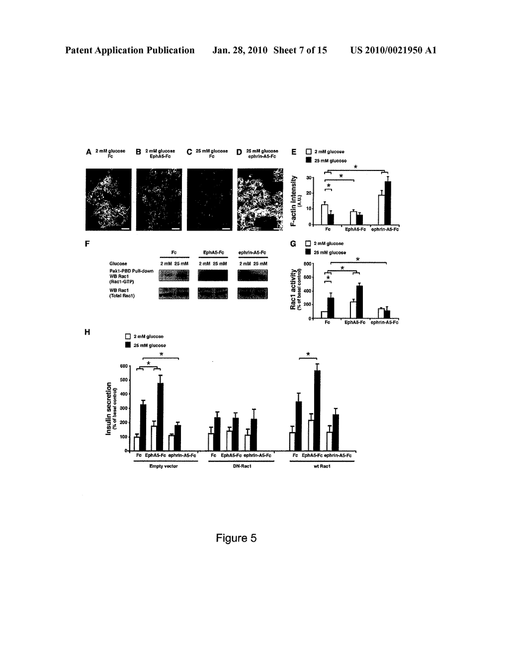 SCREENING METHOD FOR ANTI-DIABETIC COMPOUNDS - diagram, schematic, and image 08