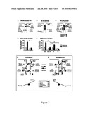 SCREENING METHOD FOR ANTI-DIABETIC COMPOUNDS diagram and image