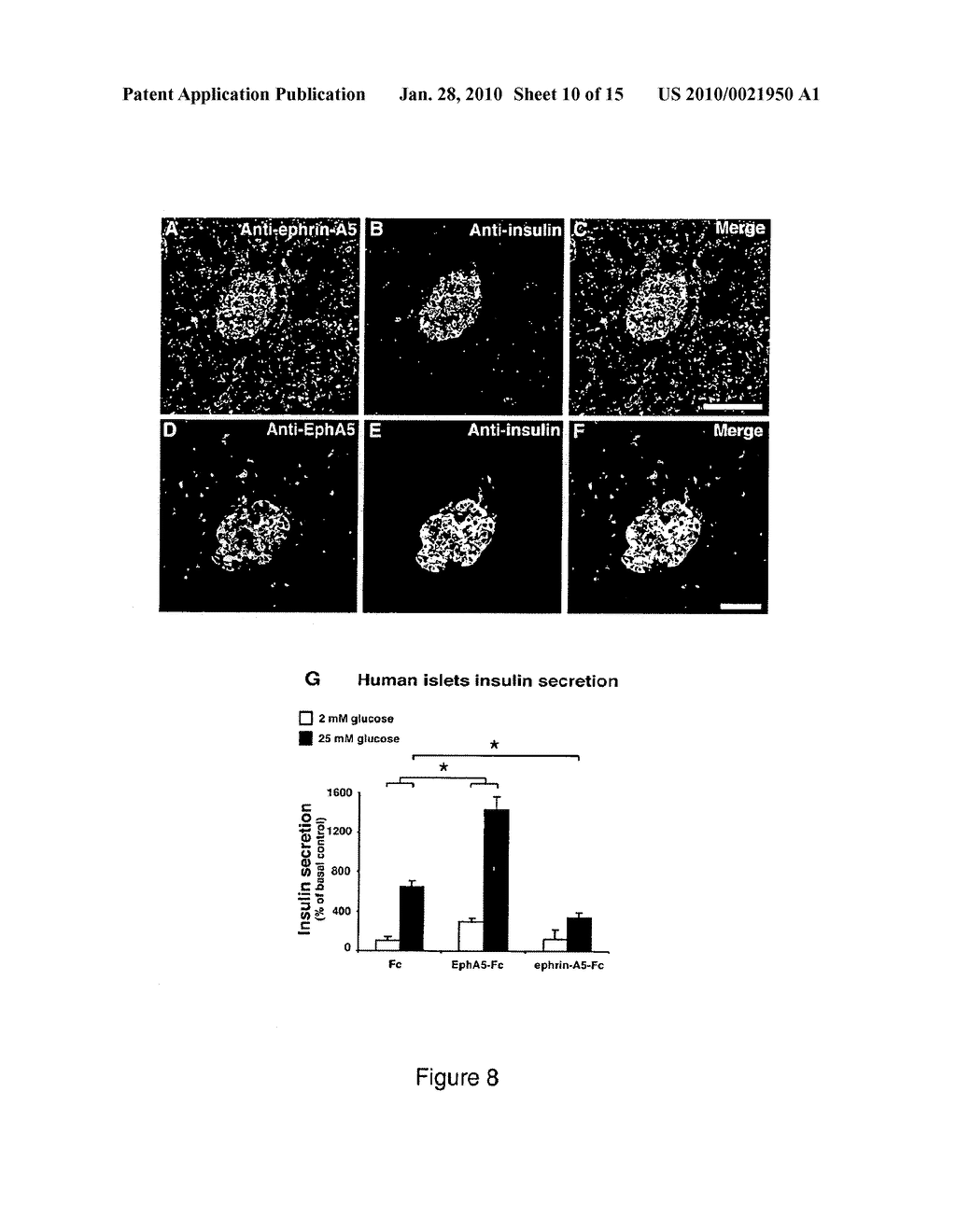SCREENING METHOD FOR ANTI-DIABETIC COMPOUNDS - diagram, schematic, and image 11