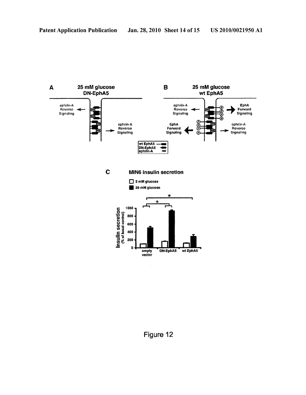 SCREENING METHOD FOR ANTI-DIABETIC COMPOUNDS - diagram, schematic, and image 15