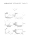  Method for Identifying an Agent that Modulates Arginine Transport in a Chondrocyte diagram and image