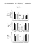  Method for Identifying an Agent that Modulates Arginine Transport in a Chondrocyte diagram and image