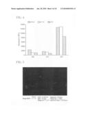 High capacity nanoparticulate immobilization surface diagram and image