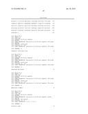 Use of A Plastid-Lipid Associated Protein Promoter (PAP Promoter) For Heterologous Gene Expression diagram and image