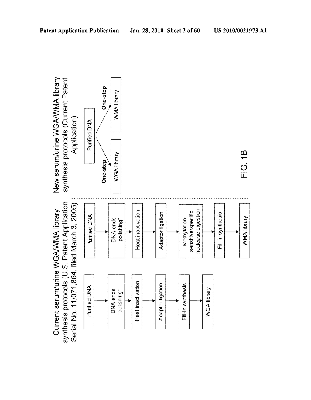 COMPOSITIONS AND METHODS FOR PROCESSING AND AMPLIFICATION OF DNA, INCLUDING USING MULTIPLE ENZYMES IN A SINGLE REACTION - diagram, schematic, and image 03