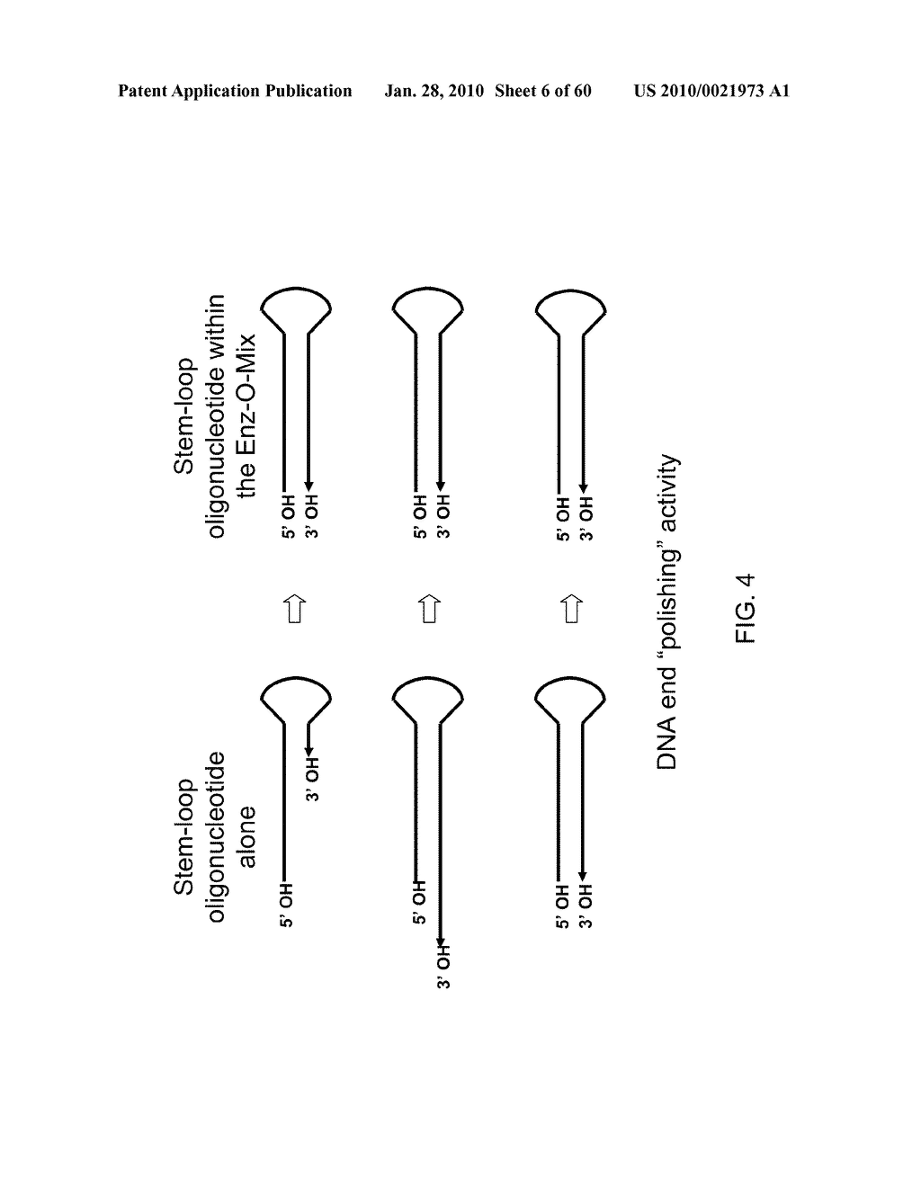 COMPOSITIONS AND METHODS FOR PROCESSING AND AMPLIFICATION OF DNA, INCLUDING USING MULTIPLE ENZYMES IN A SINGLE REACTION - diagram, schematic, and image 07