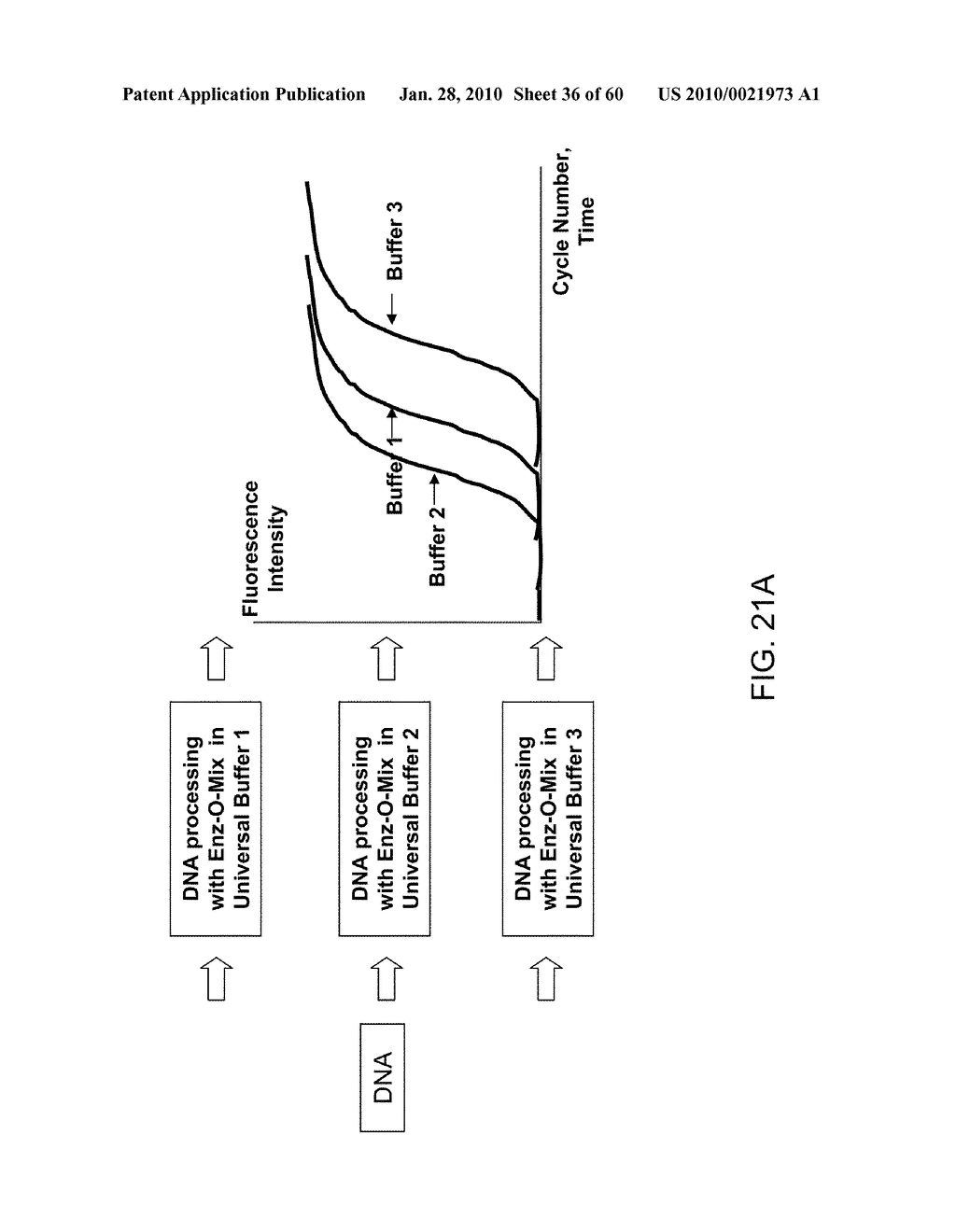 COMPOSITIONS AND METHODS FOR PROCESSING AND AMPLIFICATION OF DNA, INCLUDING USING MULTIPLE ENZYMES IN A SINGLE REACTION - diagram, schematic, and image 37