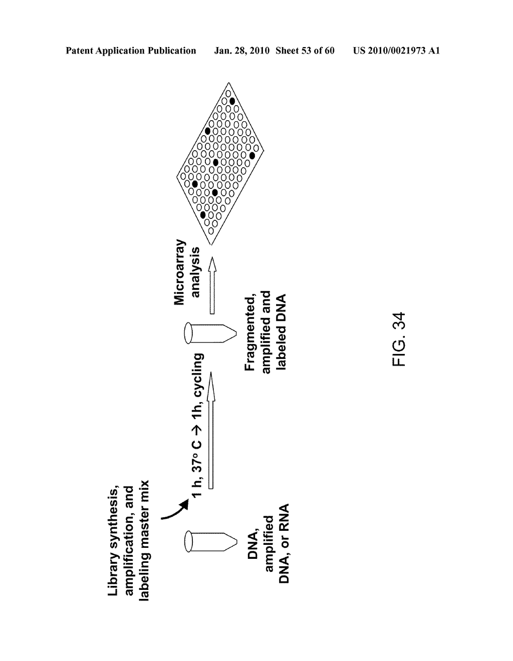 COMPOSITIONS AND METHODS FOR PROCESSING AND AMPLIFICATION OF DNA, INCLUDING USING MULTIPLE ENZYMES IN A SINGLE REACTION - diagram, schematic, and image 54