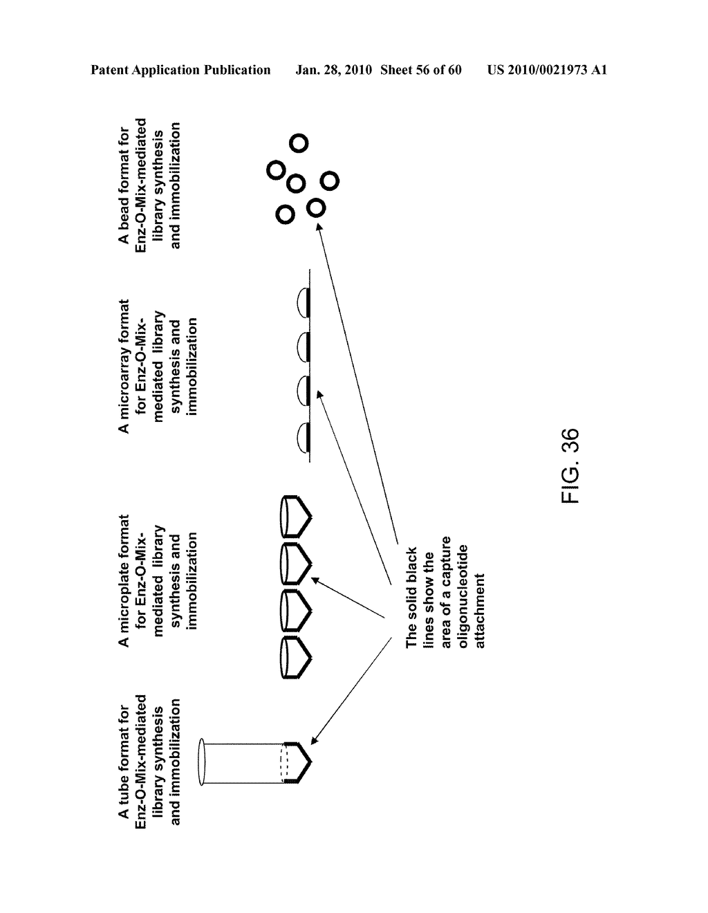 COMPOSITIONS AND METHODS FOR PROCESSING AND AMPLIFICATION OF DNA, INCLUDING USING MULTIPLE ENZYMES IN A SINGLE REACTION - diagram, schematic, and image 57