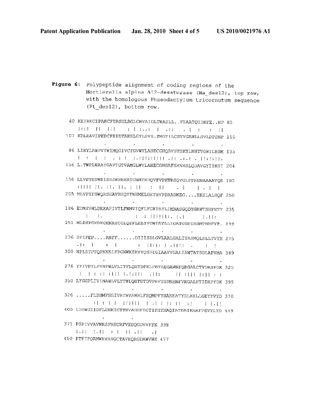 PRODUCTION OF POLYUNSATURATED FATTY ACIDS, NOVEL BIOSYNTHESIS GENES, AND NOVEL PLANT EXPRESSION CONSTRUCTS - diagram, schematic, and image 05