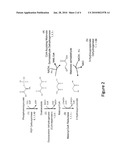 METHODS AND ORGANISMS FOR PRODUCTION OF 3-HYDROXYPROPIONIC ACID diagram and image